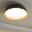 Cristy Metal LED Ceiling Lamp-household-lighting-ceilinglamps-flushmounts-image-1