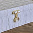 Blaze Decorative Box-PROMO_HC_SA_TESTBINPROMO_080926-image-3