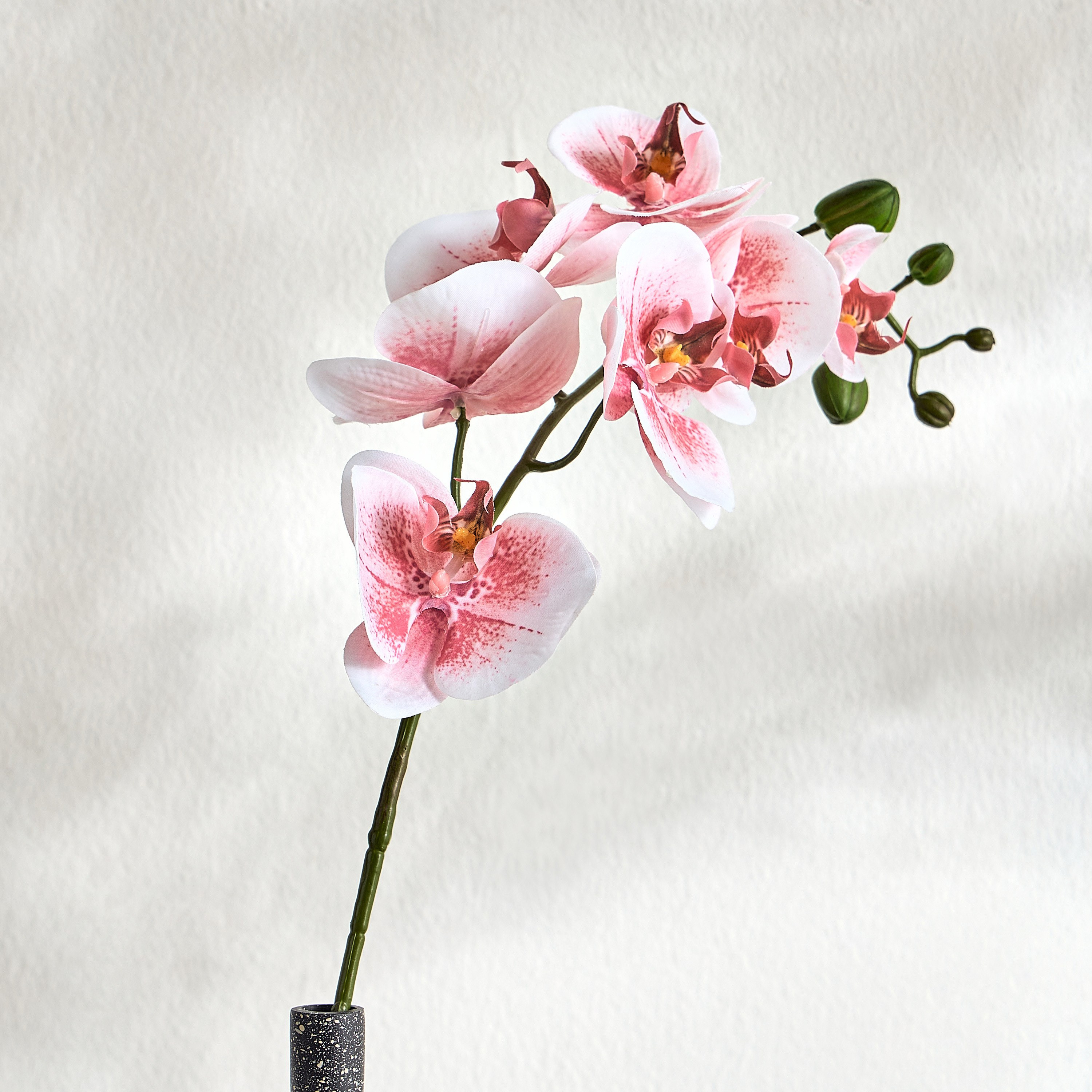 Real Touch Orchid Spray - 71 cm-household-gardenandoutdoor-artificialflowersandplants-stems-image-1