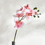 بخاخ الأوركيد - ريل تاتش - 71 سم-household-gardenandoutdoor-artificialflowersandplants-stems-image-3