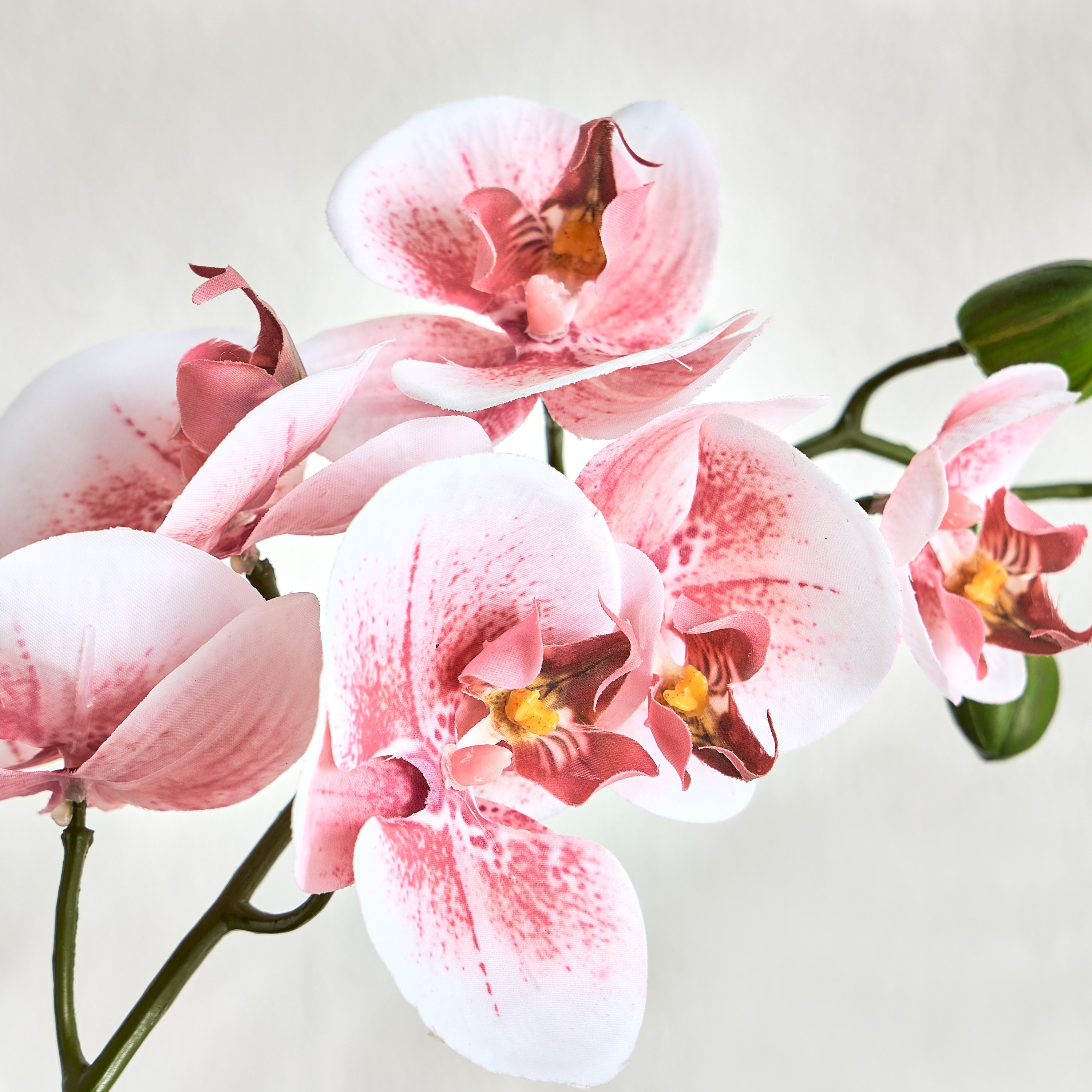 Real Touch Orchid Spray - 71 cm-household-gardenandoutdoor-artificialflowersandplants-stems-image-2