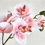 بخاخ الأوركيد - ريل تاتش - 71 سم-household-gardenandoutdoor-artificialflowersandplants-stems-image-2
