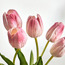 باقة تيوليب - 38 سم-binpromo_ALLBANKS_OMN_14032025-image-2