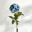Peony Single Stem Flower-binpromo_ALLBANKS_OMN_14032025-image-1
