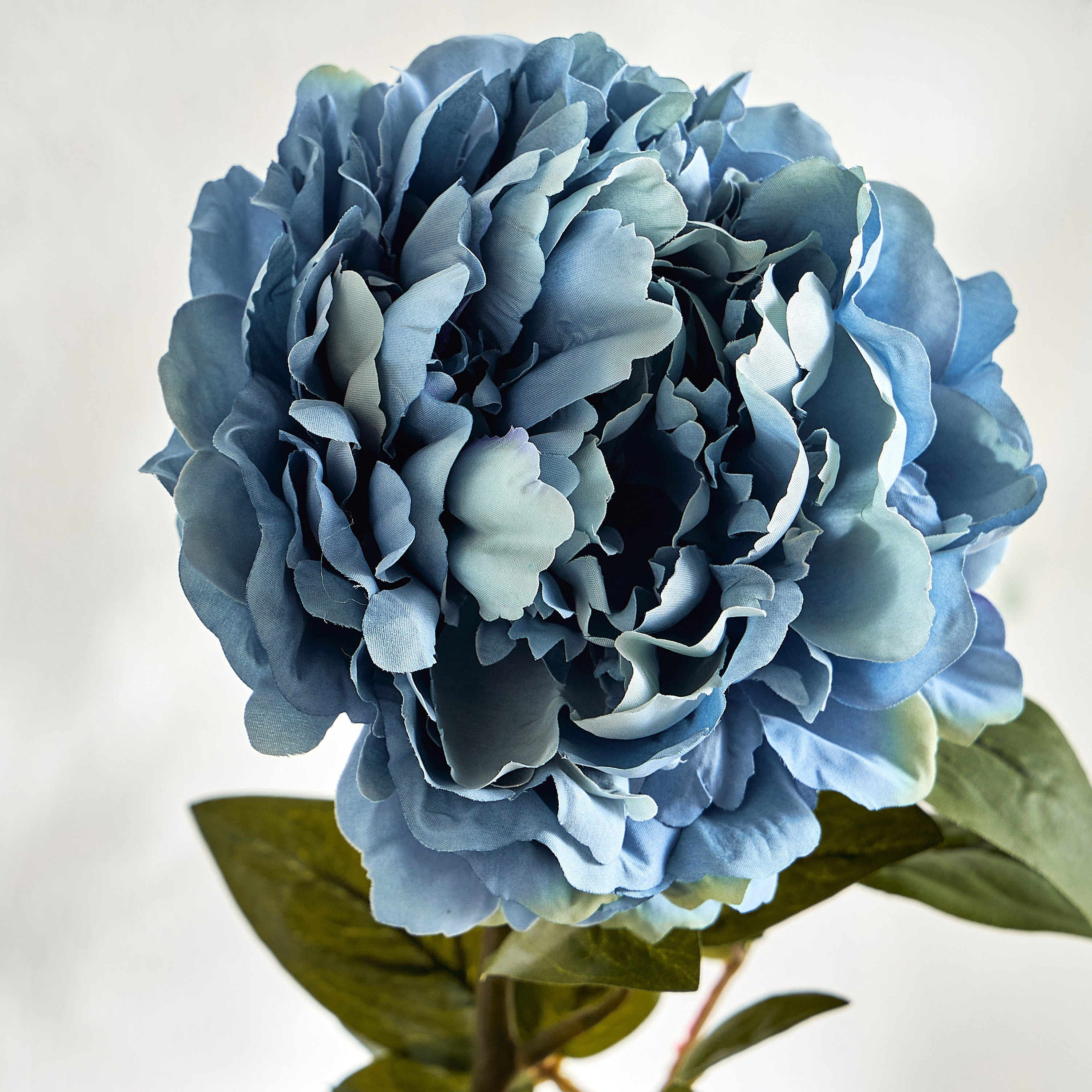 جذع زهرة الفاوانيا فردي-household-gardenandoutdoor-artificialflowersandplants-stems-image-2