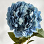 Peony Single Stem Flower-binpromo_ALLBANKS_OMN_14032025-image-2