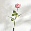 Rose Single Stem Flower-household-gardenandoutdoor-artificialflowersandplants-stems-image-1