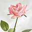 Rose Single Stem Flower-household-gardenandoutdoor-artificialflowersandplants-stems-image-2