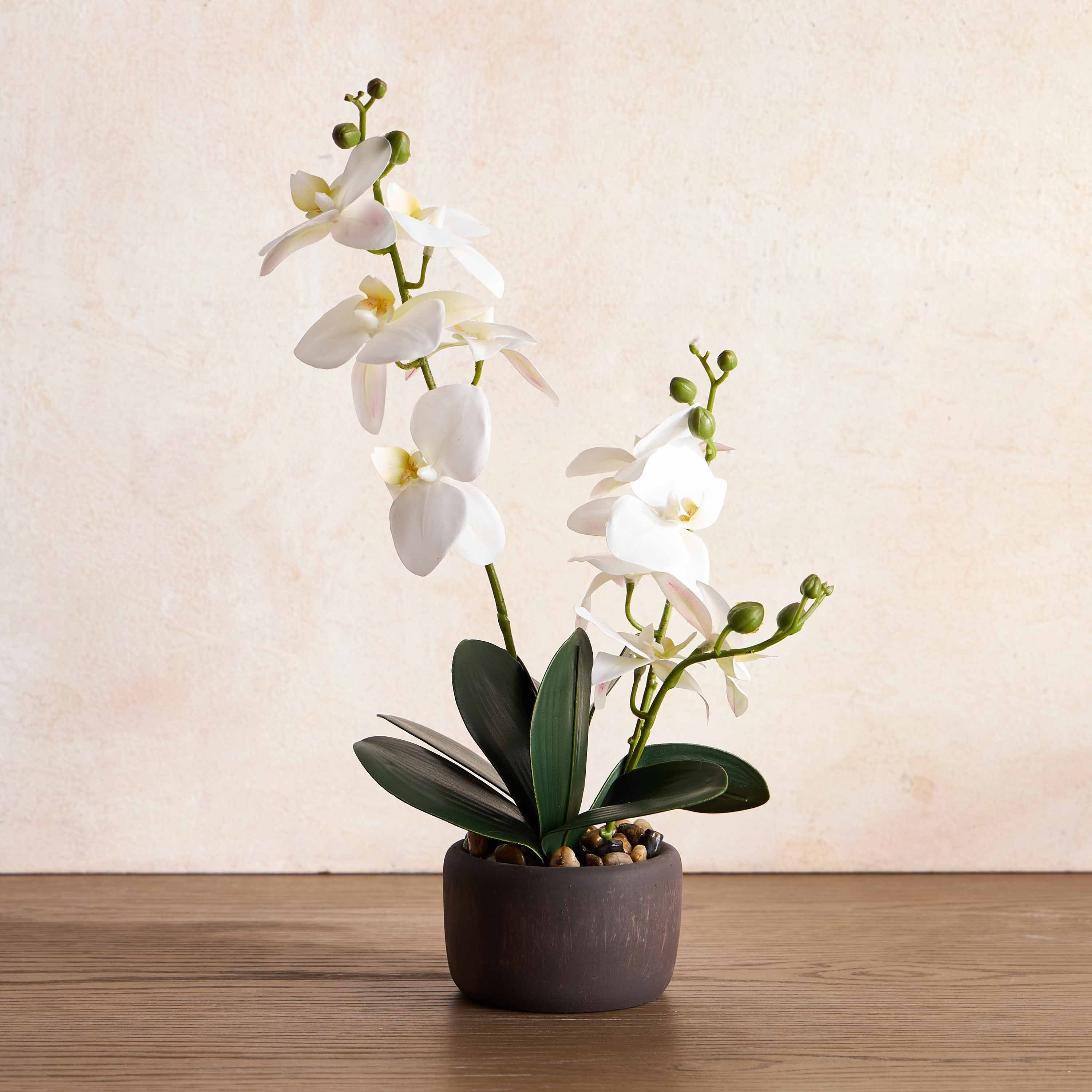 Orchid in Cement Pot - 46 cm-household-gardenandoutdoor-artificialflowersandplants-flowers-image-1