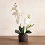 Orchid in Cement Pot - 46 cm-binpromo_KSA_Alrajhi_17062026-image-1