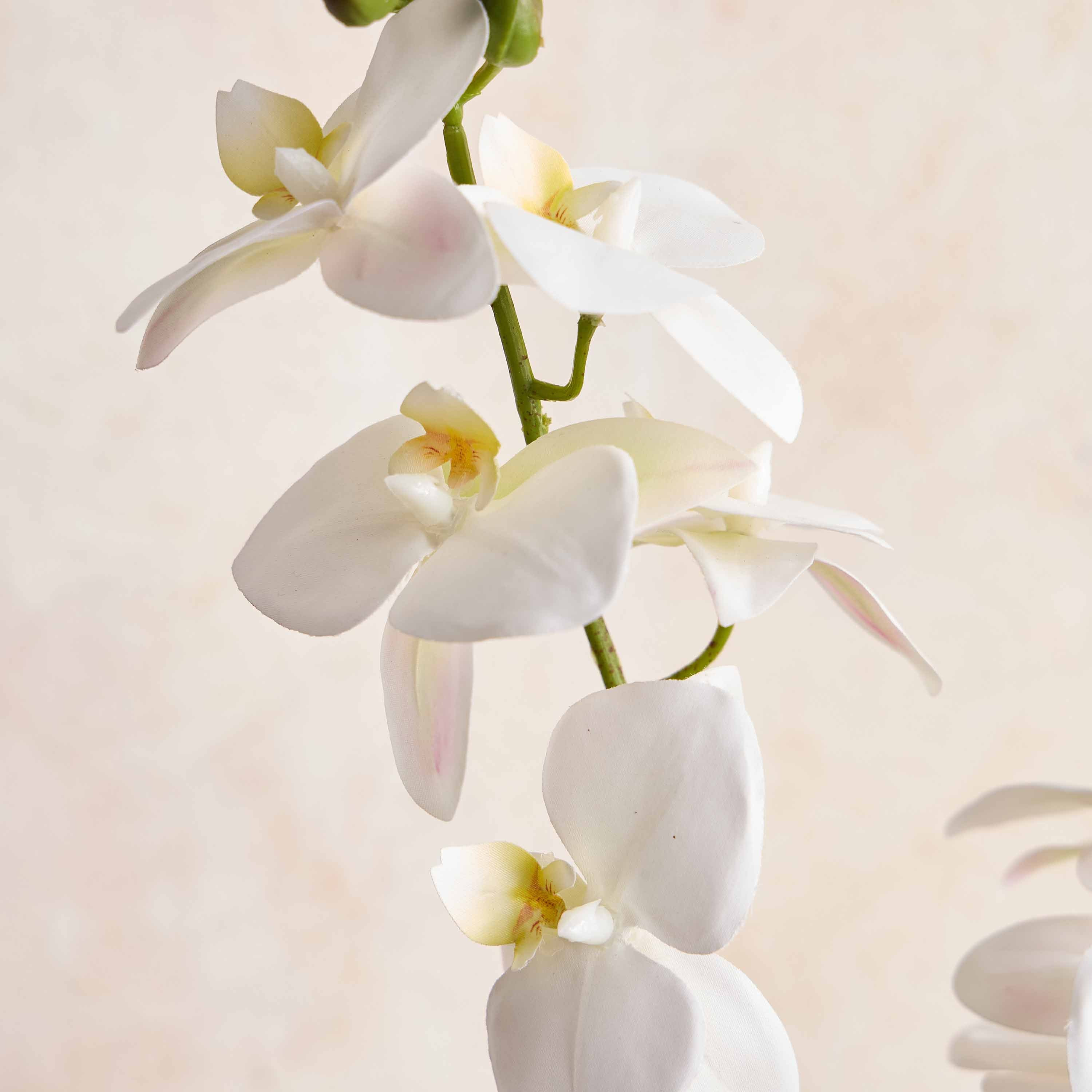 Orchid in Cement Pot - 46 cm-household-gardenandoutdoor-artificialflowersandplants-flowers-image-2