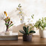 Orchid in Cement Pot - 46 cm-binpromo_KSA_Alrajhi_17062026-image-3