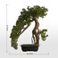 شجرة صنوبر بونساي في إناء زرع - 46 سم-household-gardenandoutdoor-artificialplants-bonsai-image-1