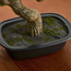 شجرة صنوبر بونساي في إناء زرع - 46 سم-household-gardenandoutdoor-artificialplants-bonsai-image-3
