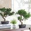 شجرة بونساي صناعية - 46 سم-household-gardenandoutdoor-artificialplants-bonsai-image-2