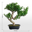 شجرة بونساي صناعية - 46 سم-household-gardenandoutdoor-artificialplants-bonsai-image-1