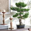 شجرة بونساي صناعية - 68 سم-household-gardenandoutdoor-artificialplants-bonsai-image-3