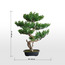 شجرة بونساي صناعية - 68 سم-household-gardenandoutdoor-artificialplants-bonsai-image-1