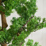 شجرة السرو بونساي في إناء زرع - 110 سم-household-gardenandoutdoor-artificialplants-bonsai-image-4