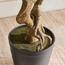 شجرة السرو بونساي في إناء زرع - 110 سم-household-gardenandoutdoor-artificialplants-bonsai-image-3