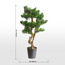 شجرة السرو بونساي في إناء زرع - 110 سم-household-gardenandoutdoor-artificialplants-bonsai-image-1