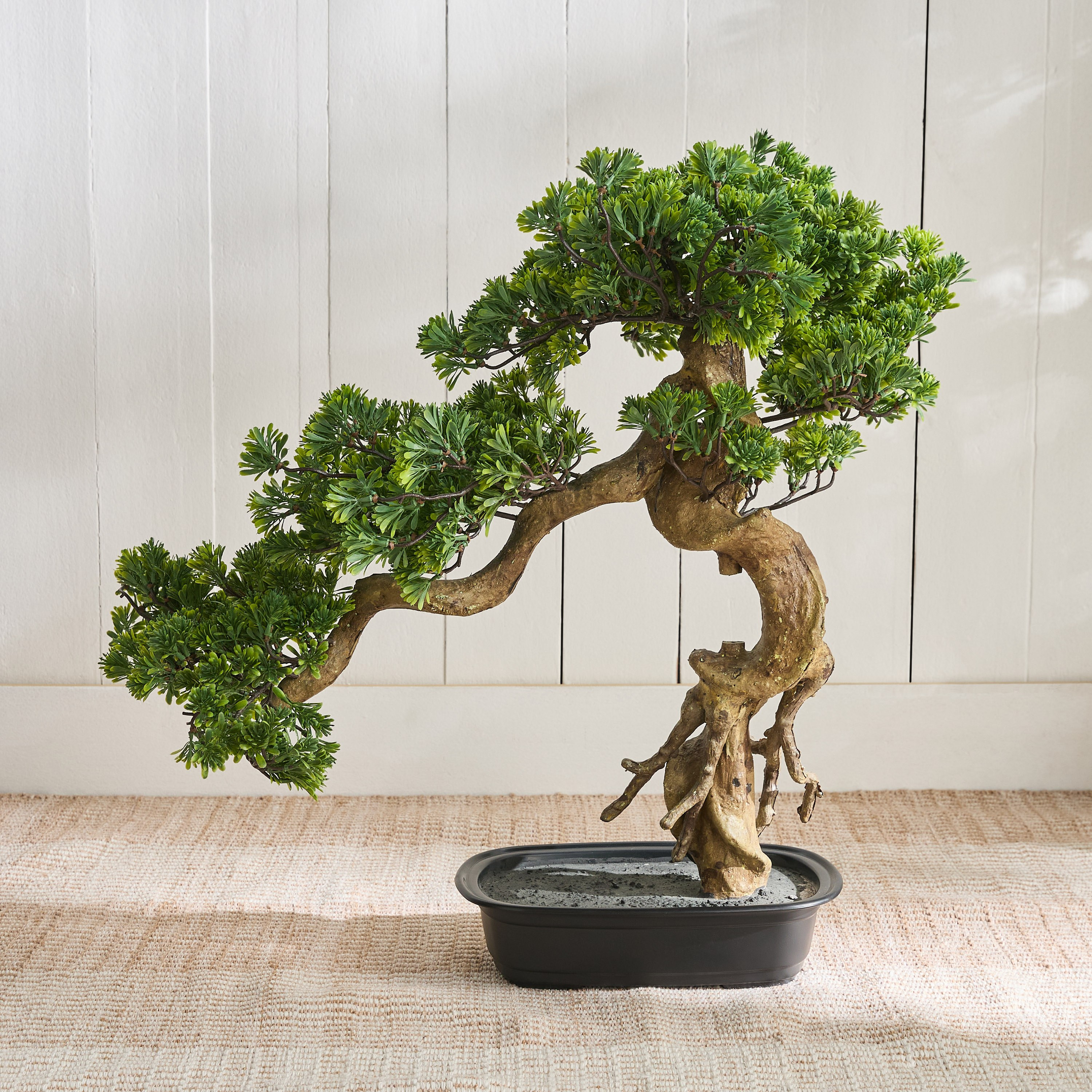 Pine Podocarpus Bonsai Tree in Pot - 68 cm-household-gardenandoutdoor-artificialplants-bonsai-image-1