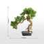 شجرة بونساي صنوبر بودوكاربوس في إناء زرع - 68 سم-household-gardenandoutdoor-artificialplants-bonsai-image-1