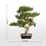 شجرة بونساي صنوبر في وعاء - 68 سم-household-gardenandoutdoor-artificialplants-bonsai-image-1
