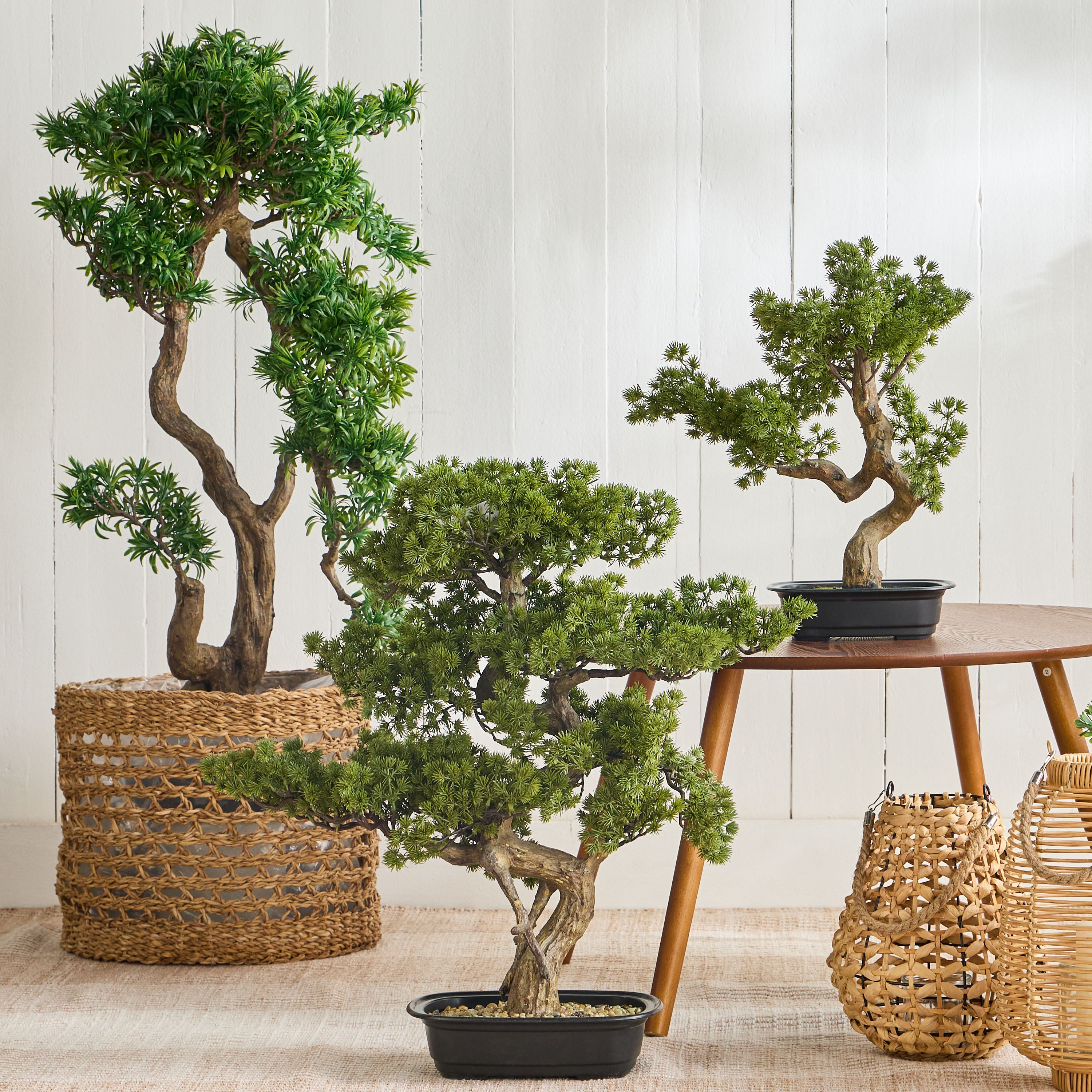 Schefflera Podocarpus Macrophyllus Bonsai Tree in Pot - 103 cm-household-gardenandoutdoor-artificialplants-bonsai-image-4