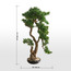 شجرة  بونساي شيفليرا بودوكاربوس ماكروفيلوس في إناء زرع - 103 سم-household-gardenandoutdoor-artificialplants-bonsai-image-1