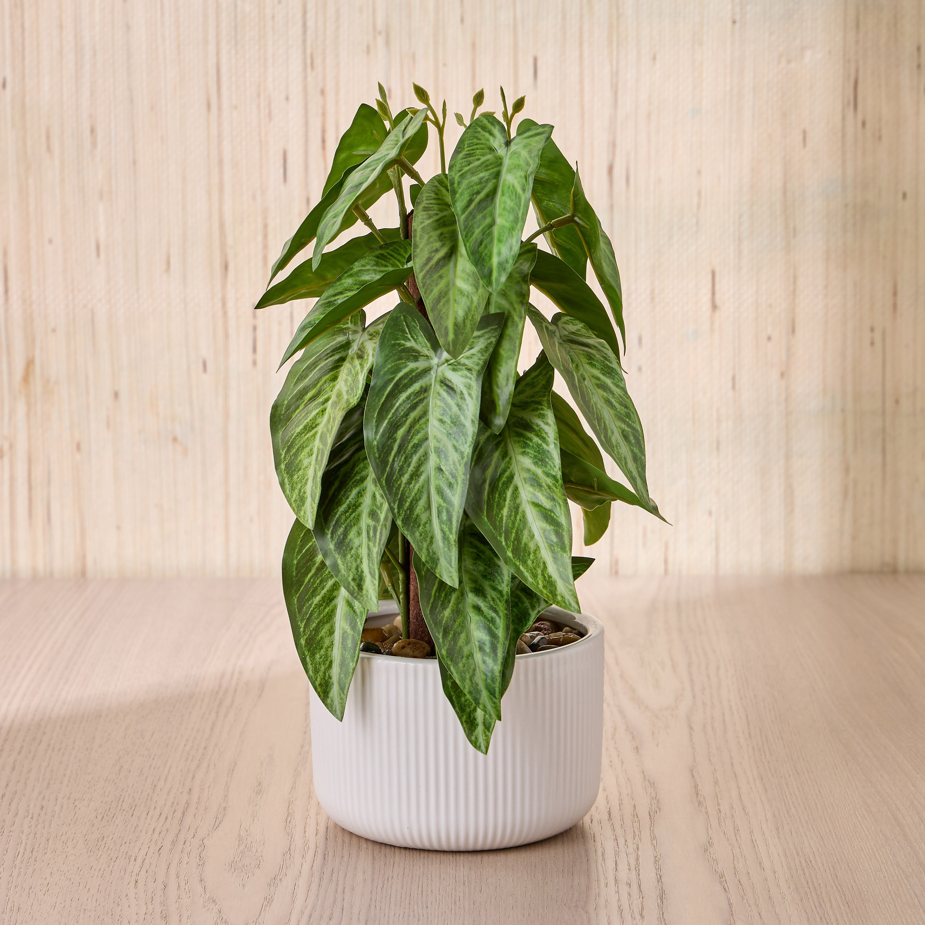 Pothos Manjula Plant in Ceramic Pot - 33 cm-household-gardenandoutdoor-artificialplants-pottedplants-image-1