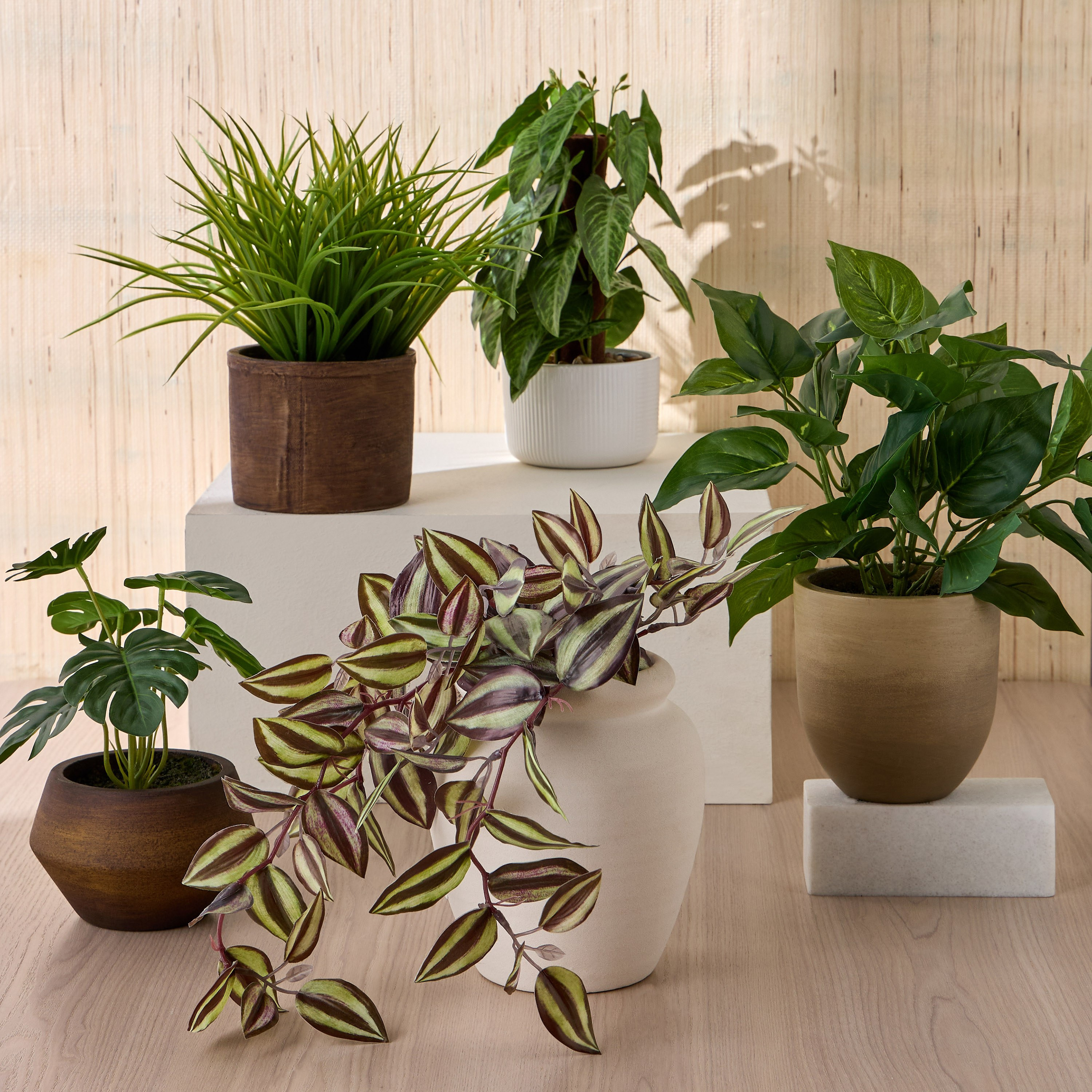 Pothos Manjula Plant in Ceramic Pot - 33 cm-household-gardenandoutdoor-artificialplants-pottedplants-image-3