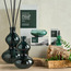 Bougie Accent White Tea and Ginger Reed Diffuser - 500 ml-household-homefragrance-reeddiffusers-image-5