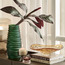 Lugano Glass Decorative Bowl - 32x32 cm-binpromo_ALLBANKS_OMN_14032025-image-3