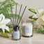 Asasi Rain Drops Scented Candle and Diffuser Gift Set-household-giftingaccessories-giftings-image-1
