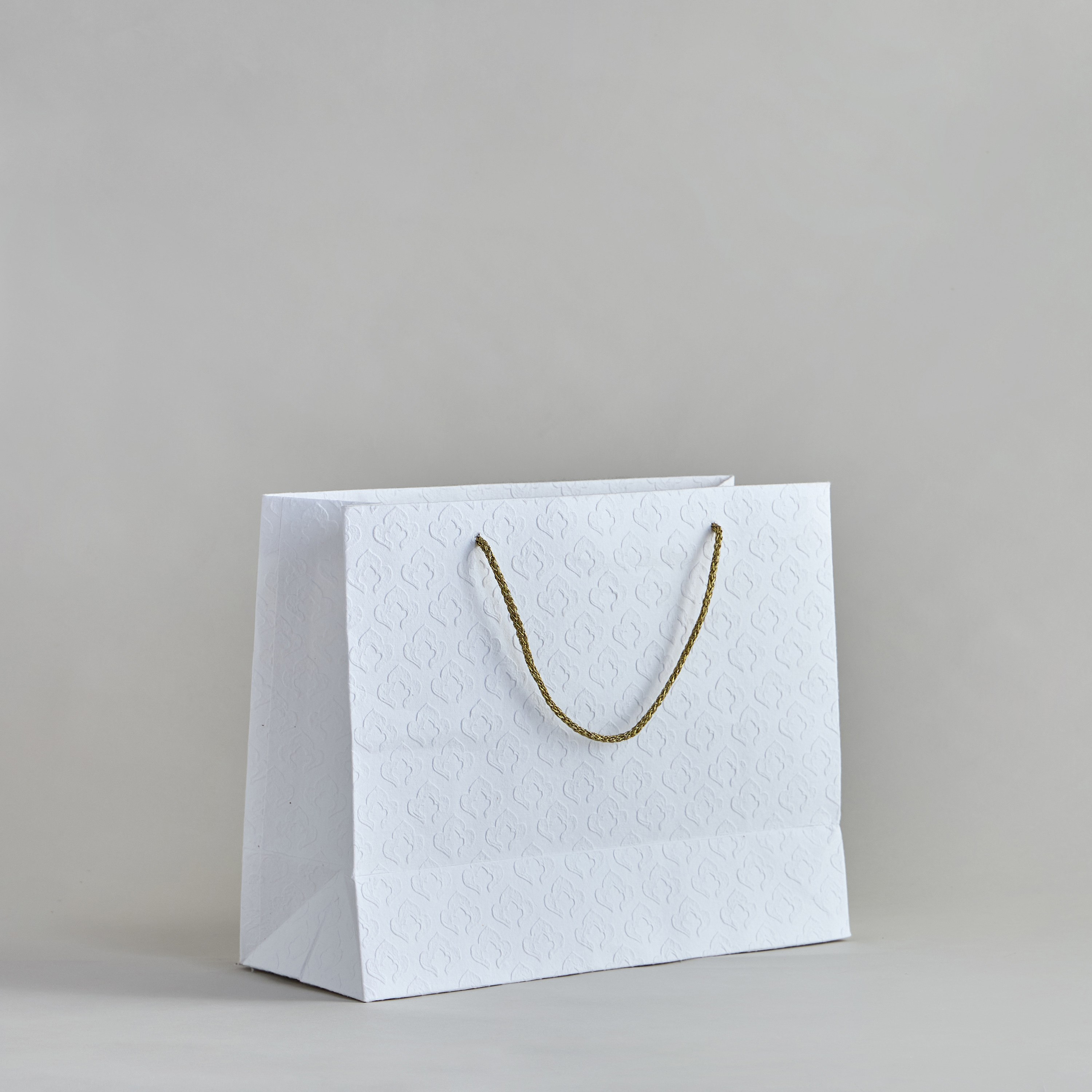 Alvi Paper Gift Bag - XL