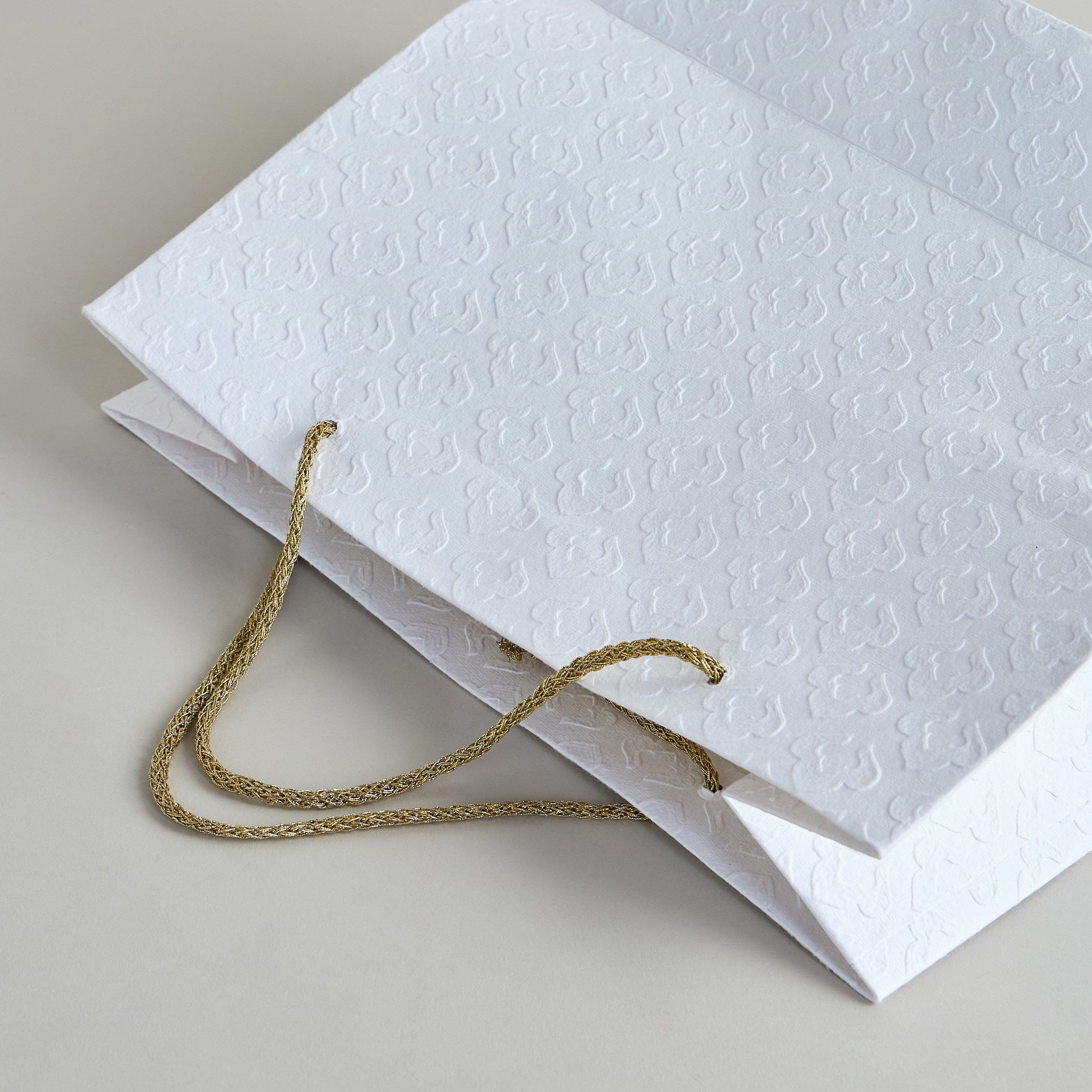 Alvi Paper Gift Bag - XL-household-giftingaccessories-accessories-image-2