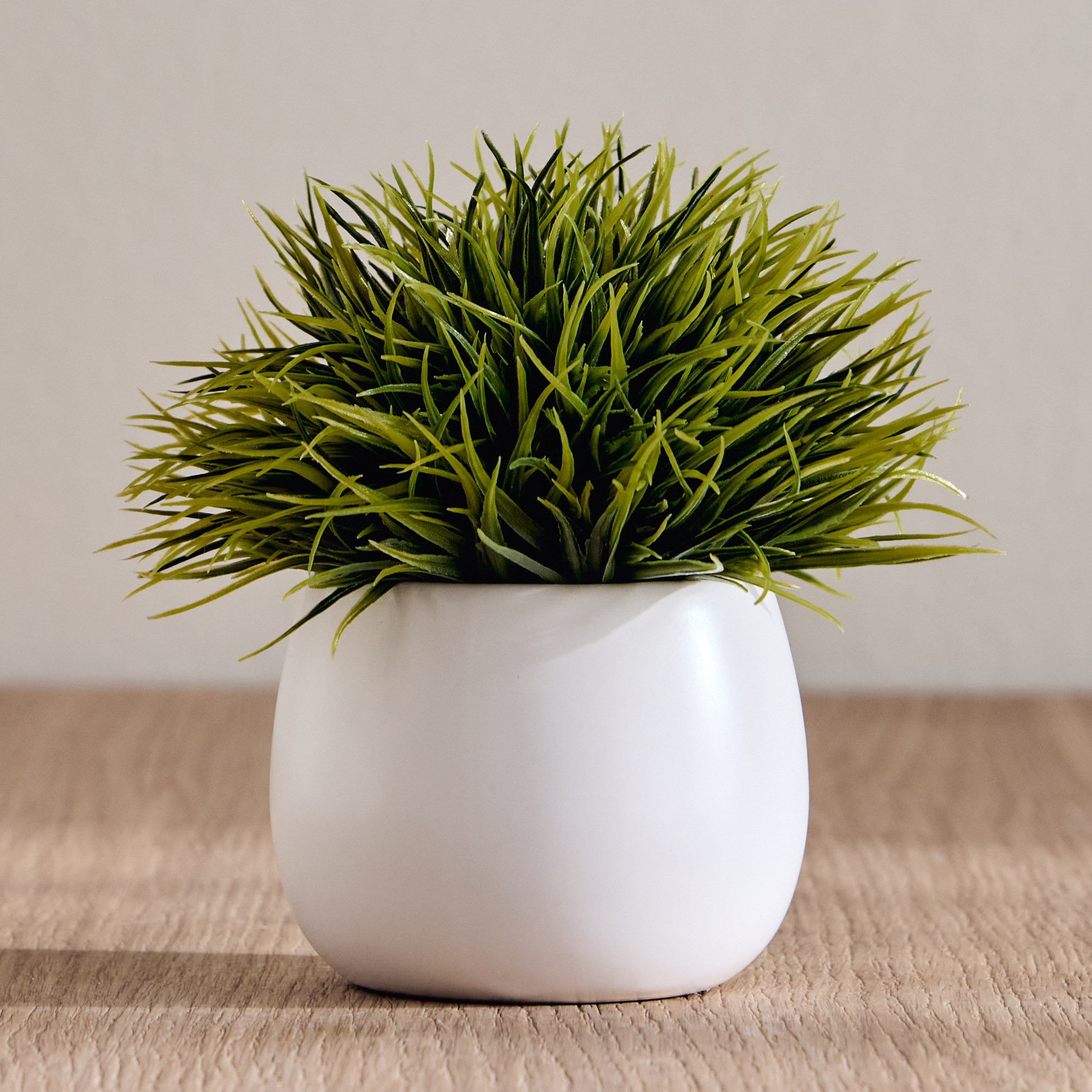 Stark Grass in Aglaia Pot - 18 cm-household-gardenandoutdoor-artificialplants-pottedplants-image-1