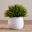 Stark Grass in Aglaia Pot - 18 cm-household-gardenandoutdoor-artificialplants-pottedplants-image-1