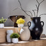 Stark Grass in Aglaia Pot - 18 cm-household-gardenandoutdoor-artificialplants-pottedplants-image-3
