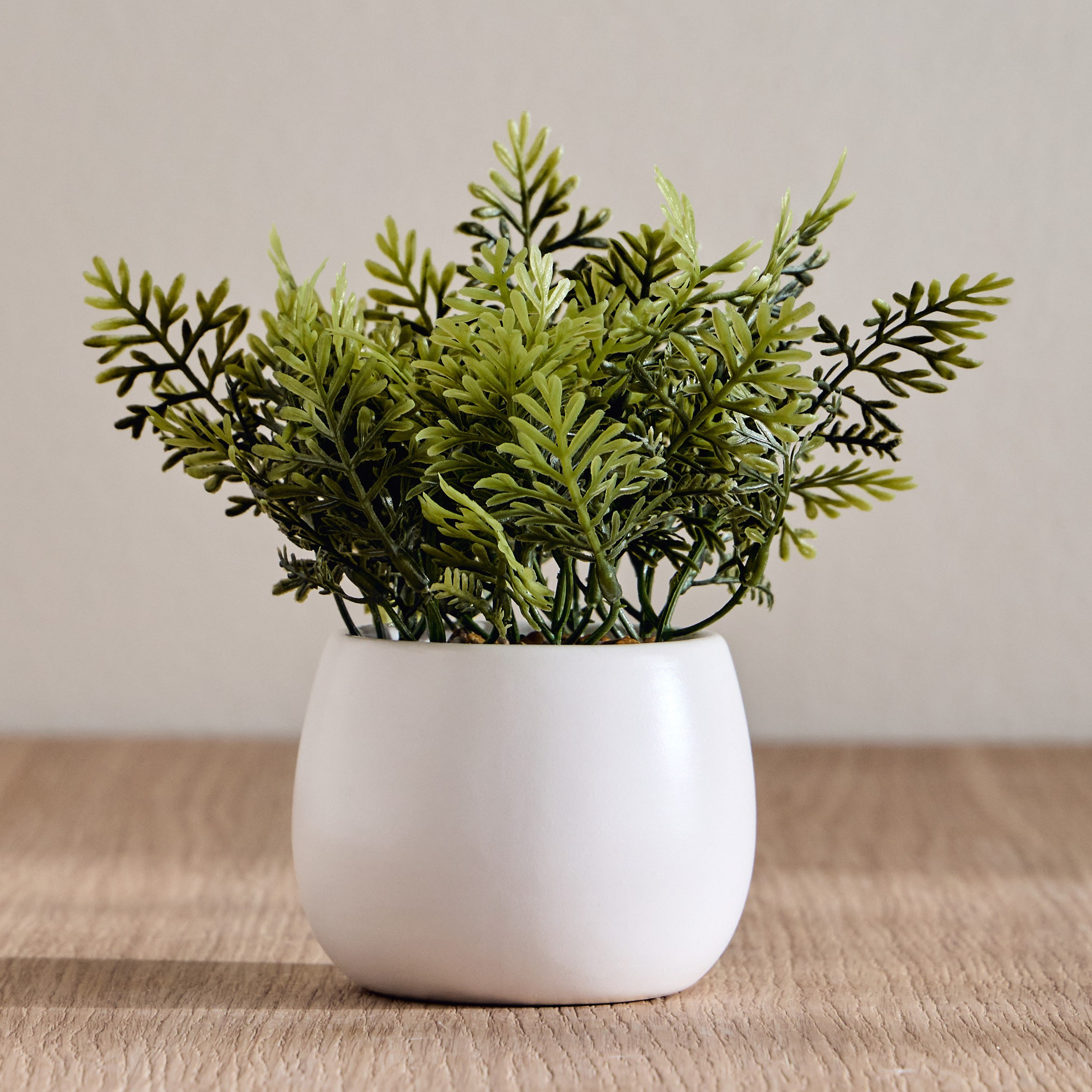 Stark Wild Fern Plant in Pot - 20 cm-household-gardenandoutdoor-artificialplants-pottedplants-image-1