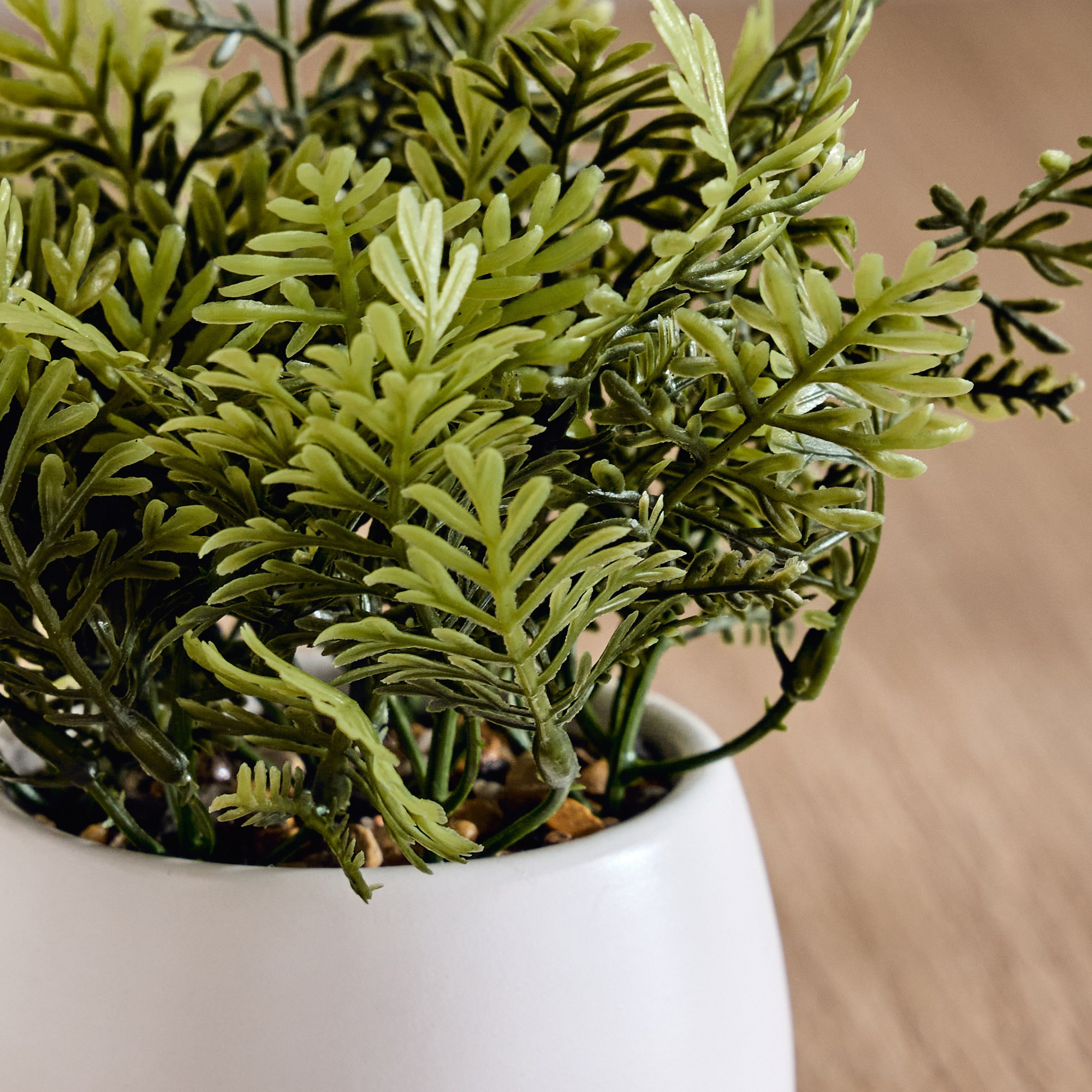 Stark Wild Fern Plant in Pot - 20 cm-household-gardenandoutdoor-artificialplants-pottedplants-image-2