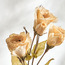 بخاخ ليسيانثوس بجذع قصير - أوتوم فلور - 51 سم-household-gardenandoutdoor-artificialflowersandplants-stems-image-2