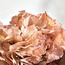 Autumn Fleur Hydrangea Bundle - 34 cm-household-gardenandoutdoor-artificialflowersandplants-stems-image-5