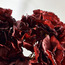Autumn Fleur Hydrangea Bundle - 34 cm-household-gardenandoutdoor-artificialflowersandplants-stems-image-2