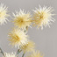 Autumn Fleur Ball Filler Spray - 65 cm-binpromo_KSA_Alrajhi_17062026-image-2