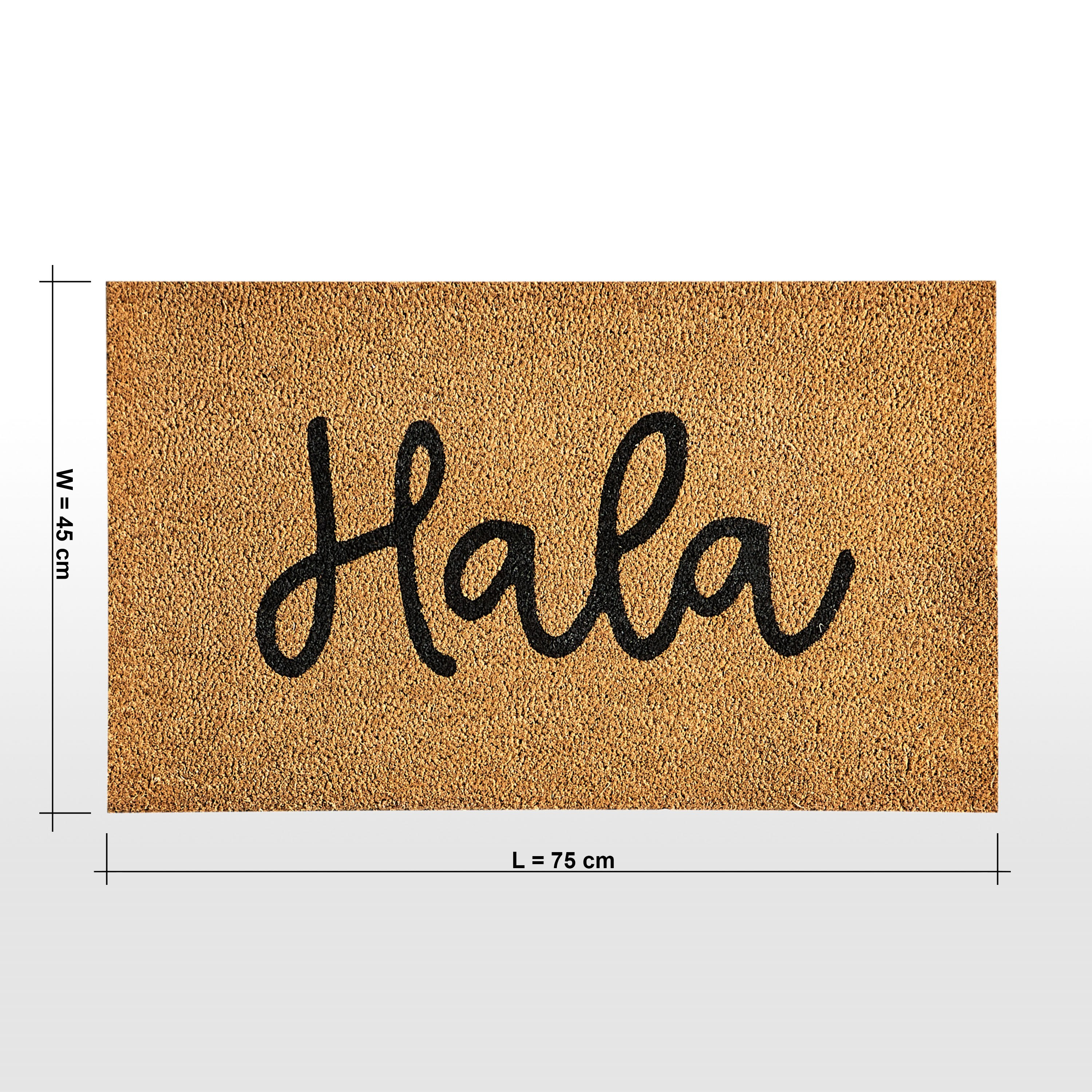 سجادة باب - هالا - 45x75 سم-household-rugsandcarpets-doormats-image-5