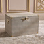 Amirah Storage Trunk - 54x35x35 cm-household-storage-storagesolutions-trunks-image-1