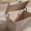 Amirah Storage Trunk - 54x35x35 cm-household-storage-storagesolutions-trunks-image-3