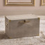 Amirah Storage Trunk - 48x30x30 cm-household-storage-storagesolutions-trunks-image-1